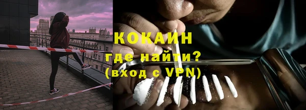 соль ск Пересвет