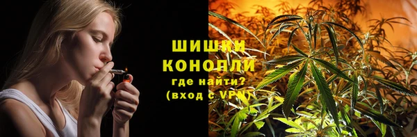 соль ск Пересвет
