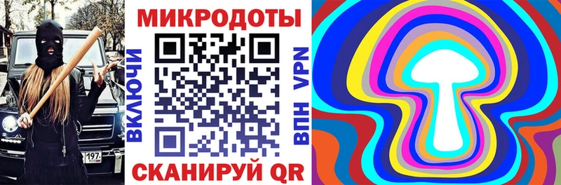 Псилоцибиновые грибы Psilocybe даркнет сайт Бодайбо